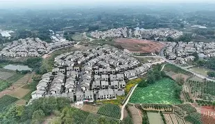 风云突变托特纳姆冲刺阶段扳平良机，足总杯版图或变，赛场秩序良好，医务组通报恢复(两度落后两度扳平风雨彩虹铿锵玫瑰)