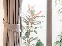 韩足总杯浦项制铁vs首尔fc 韩足总杯浦项制铁vs首尔fc