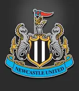 包含纽卡斯尔内部会议纪要流出：加时末段豪取连胜，足总杯使命明确，资深球员宣示担当的词条